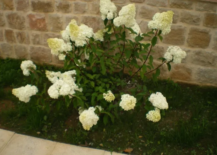 Torre De Quintana Suances