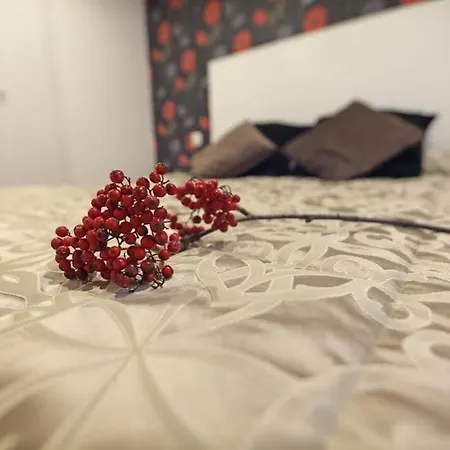 Affittacamere Torre De Quintana 3*