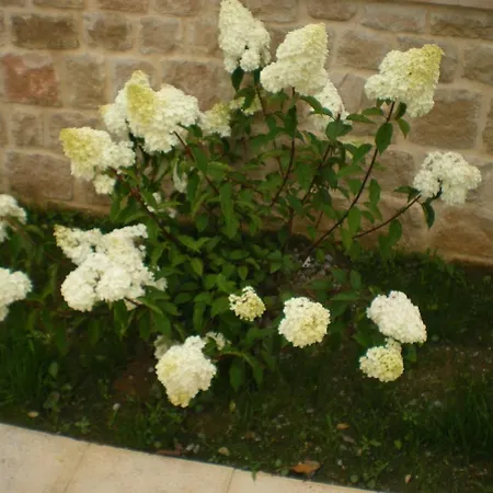 Torre De Quintana Suances